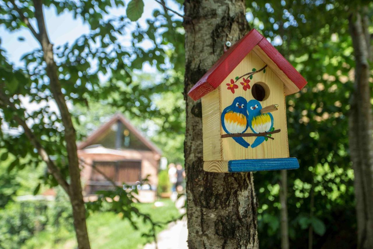 Woodpecker Ვუდფექერი Villa บาทูมิ ภายนอก รูปภาพ