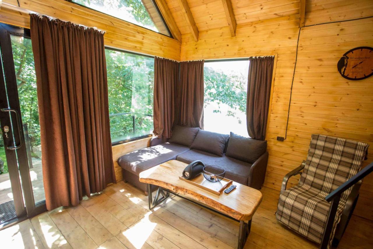 Woodpecker Ვუდფექერი Villa บาทูมิ ภายนอก รูปภาพ