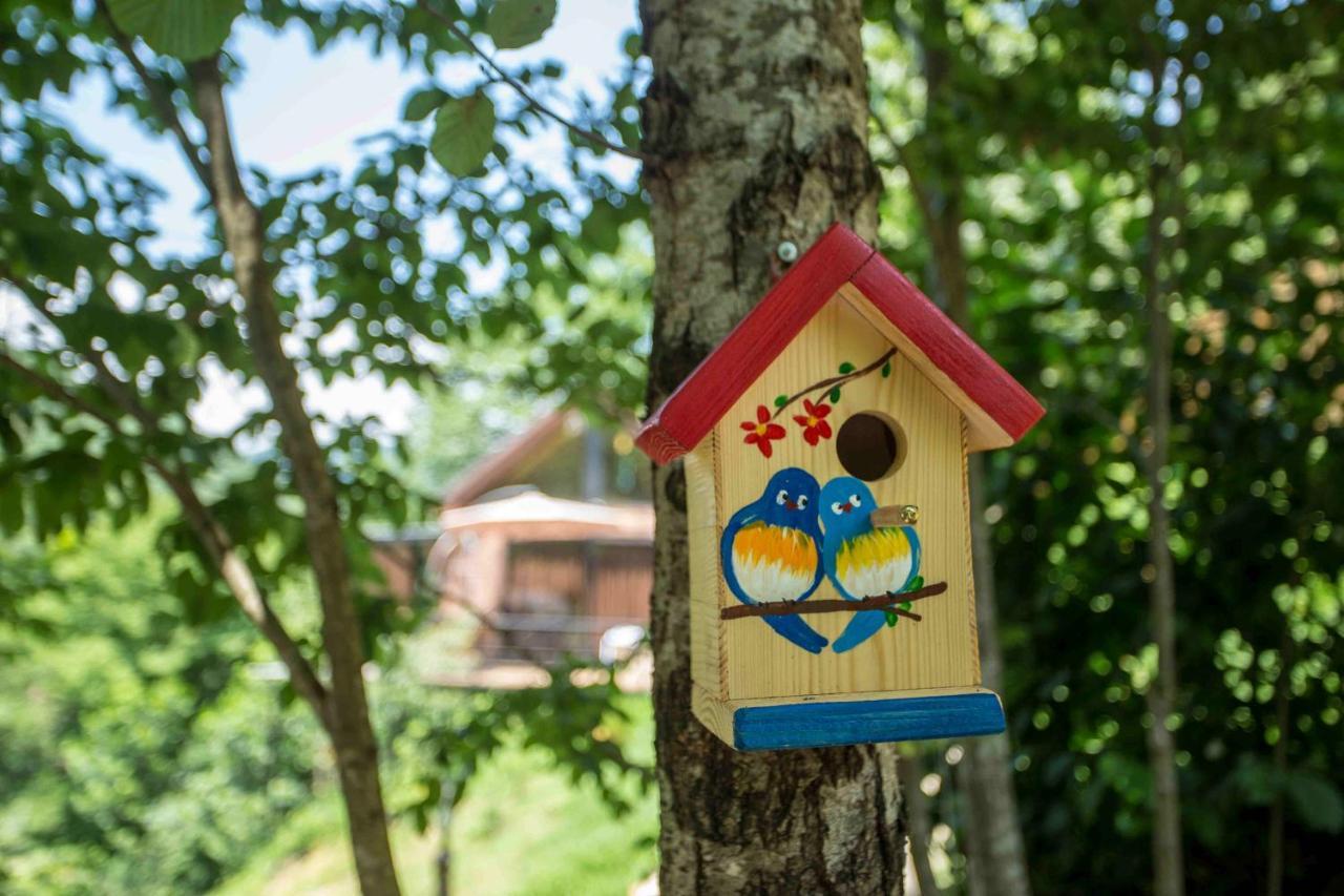Woodpecker Ვუდფექერი Villa บาทูมิ ภายนอก รูปภาพ