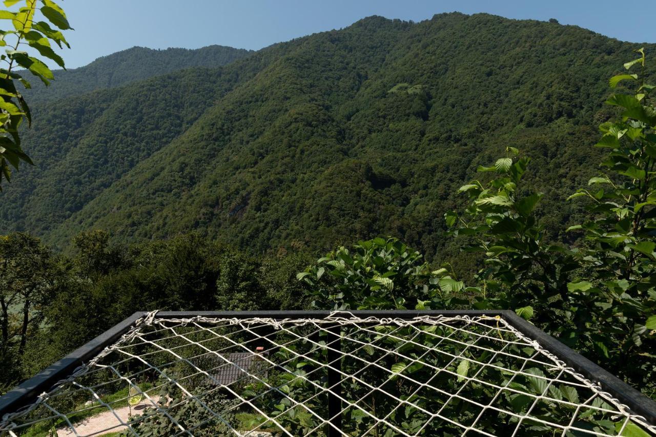 Woodpecker Ვუდფექერი Villa บาทูมิ ภายนอก รูปภาพ